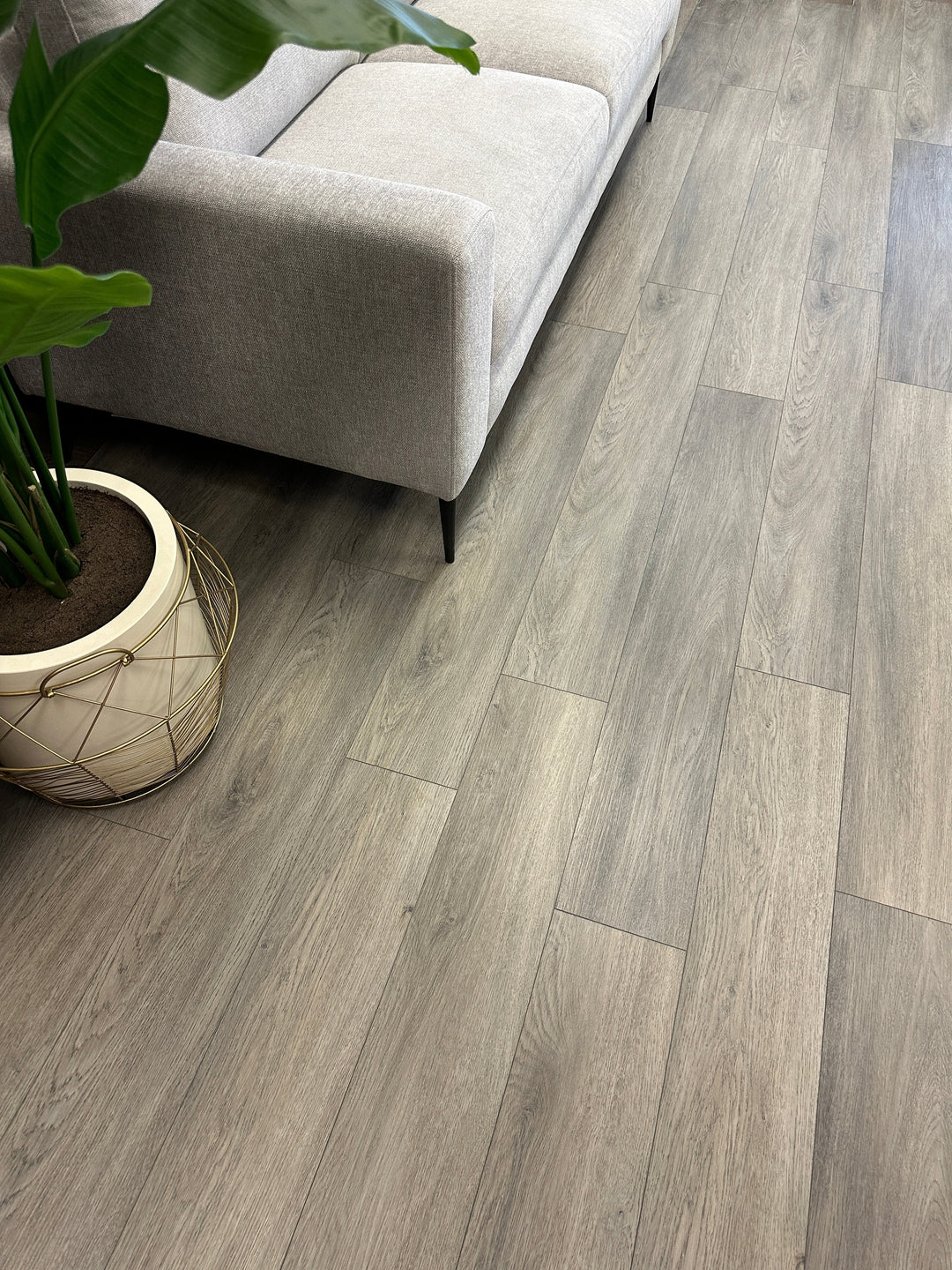 The Comeback of Warm Tones—Why Beige is Back (and Better Than Ever)