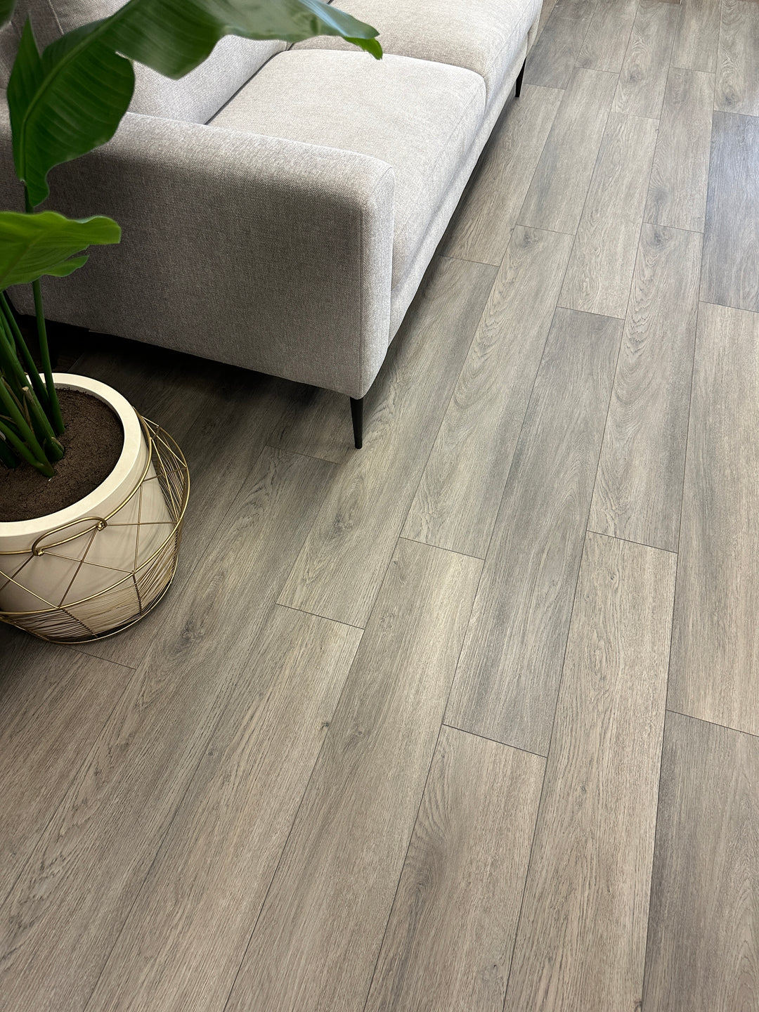 Pacific Blvd. 5mm vinyl plank $3.79 per sq ft