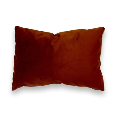 Velvet Pillows with 100% Feather Insert - Scarlett