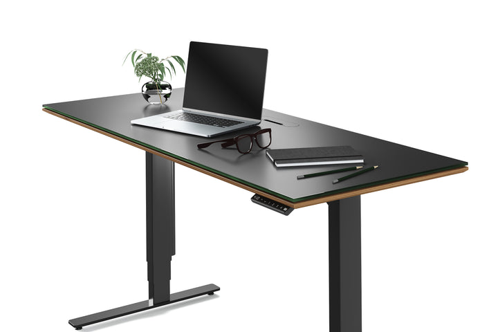 Sequel 20 6151 Sit+Stand Desk | 60"x24"