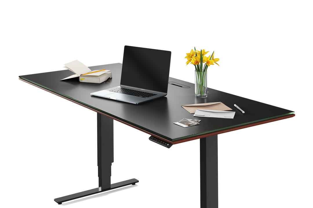 Sequel 20 6152 Sit+Stand Desk | 66"x30"