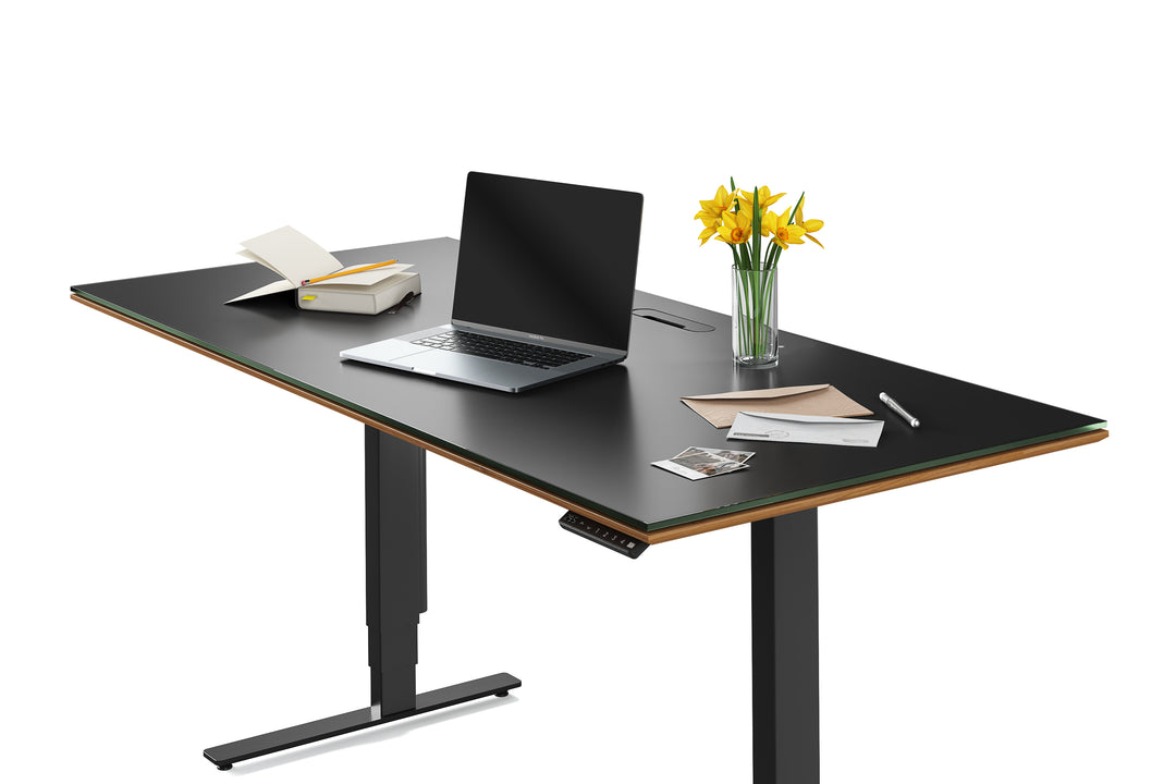 Sequel 20 6152 Sit+Stand Desk | 66"x30"