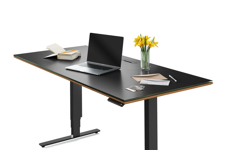 Sequel 20 6152 Sit+Stand Desk | 66"x30"